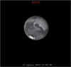 smallmarte_22agosto_2003_sequenza1-2-3-4.JPG (11692 byte)