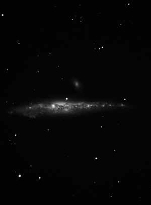 ngc4631L.jpg (70622 byte)